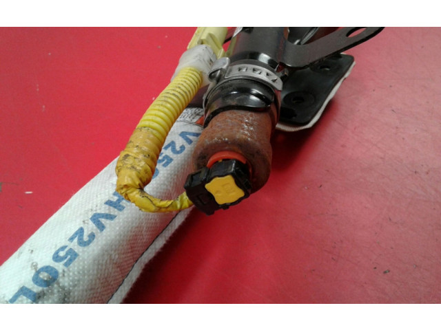 Боковая подушка безопасности 12V259, 12V259   Chevrolet Epica