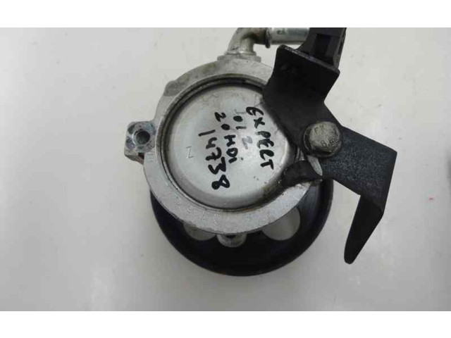 Поршень Насос усилителя руля RHZDW10ATED   Peugeot Expert  