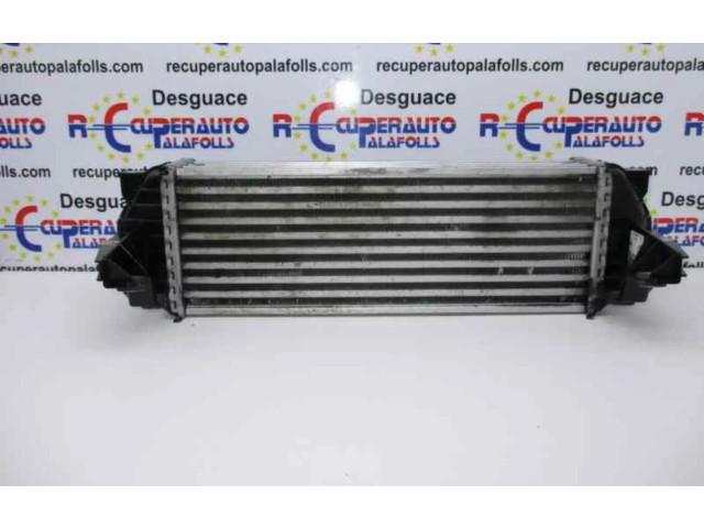 Интеркулер     Ford Transit -  Tourneo Connect 