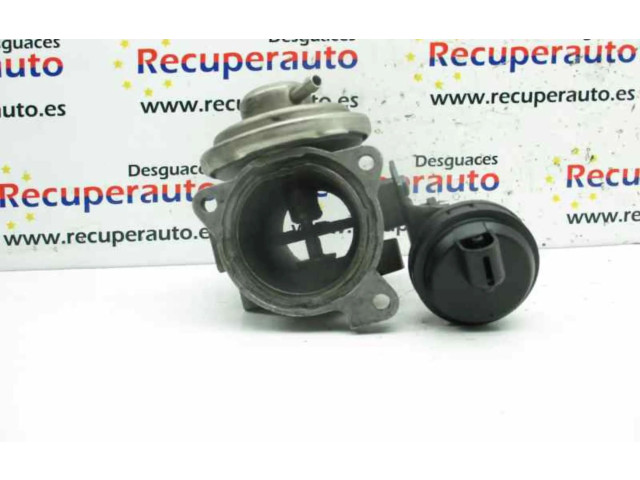 Клапан EGR 038129637B Seat Ibiza III (6L)
