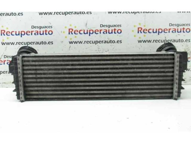 Интеркулер 1751753347504 BMW X5 E70