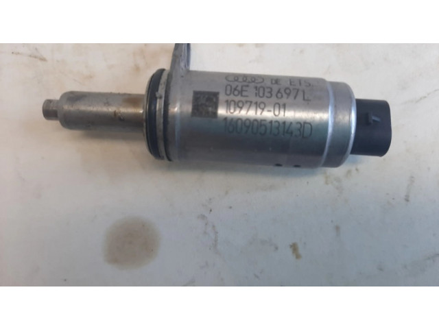 Варочный клапан Vanos