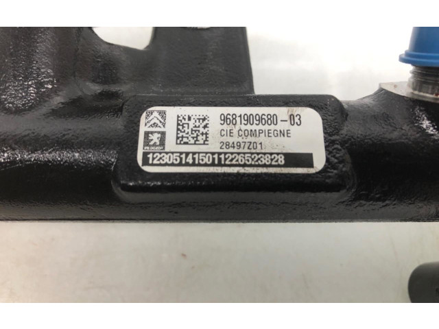 Топливная рампа 1841279, 9M5Q-9D280-AB Ford Kuga II для двигателя UFMA