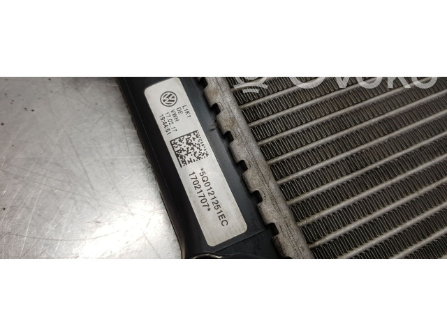 Подушка безопасности водителя 5Q0121251EC   Skoda Octavia Mk3 (5E)