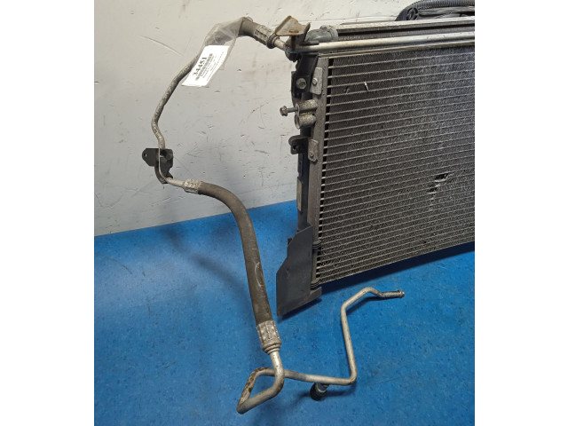 Интеркулер     Renault Clio II 