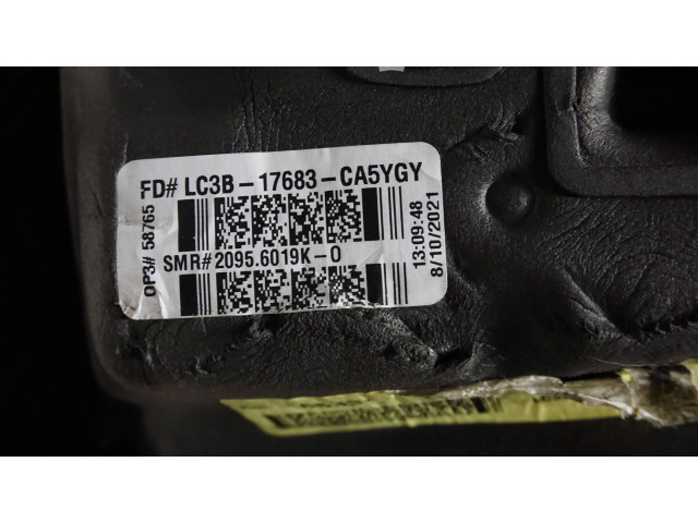 Zpětné zrcátko Ford F250 2019 LC3B-17683-CA5YGY, 20956019K