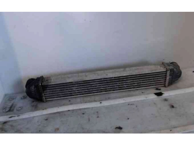 Интеркулер  1695000900, 1695000900   Mercedes-Benz A W169 