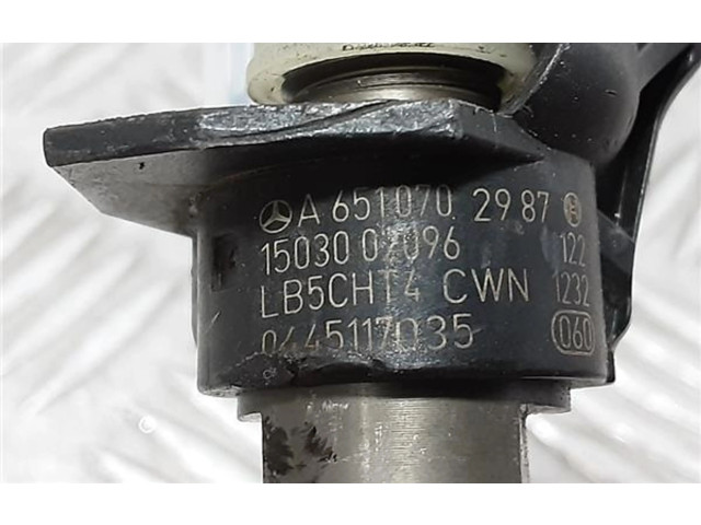 Vstřikovač 6510702987, 6510702987   Mercedes-Benz ML W166    OM651.960 