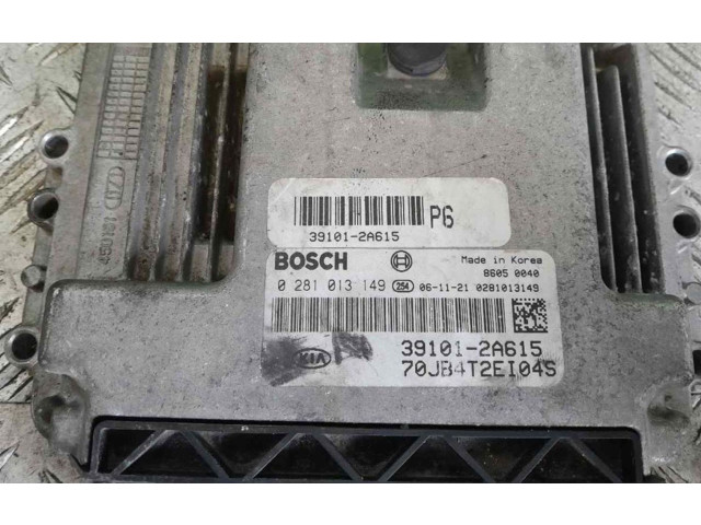 Блок управления двигателем Блок управления 0281013149 KIA Rio