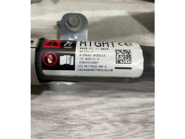 Боковая подушка безопасности 107782800E, 640452900F Tesla Model 3