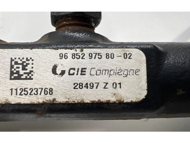 Топливная рампа 9685297580, 112523768   Peugeot 5008  