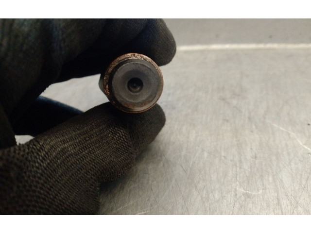 Vstřikovač LCR6736001, LCR6736001 Citroen Berlingo WJY