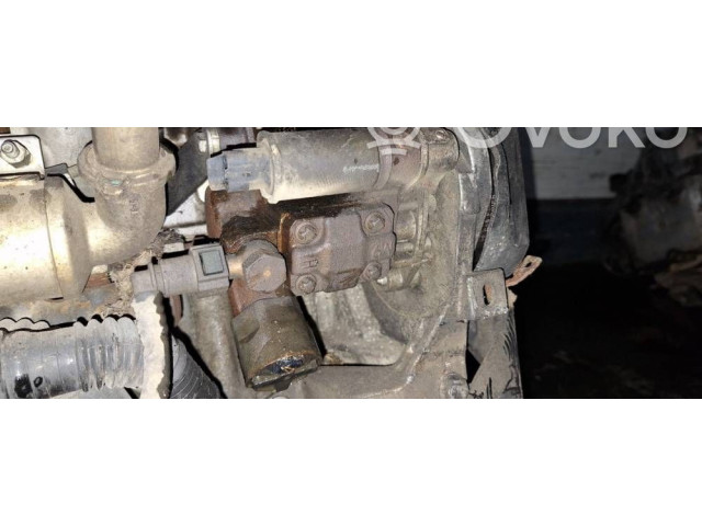 Vstřikovací čerpadlo 9685440880, a2c20000727 Ford Fiesta