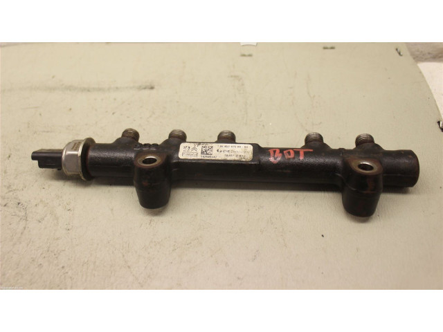 Топливная рампа 1697684, 14255947   Ford Transit -  Tourneo Connect   для двигателя UBGA