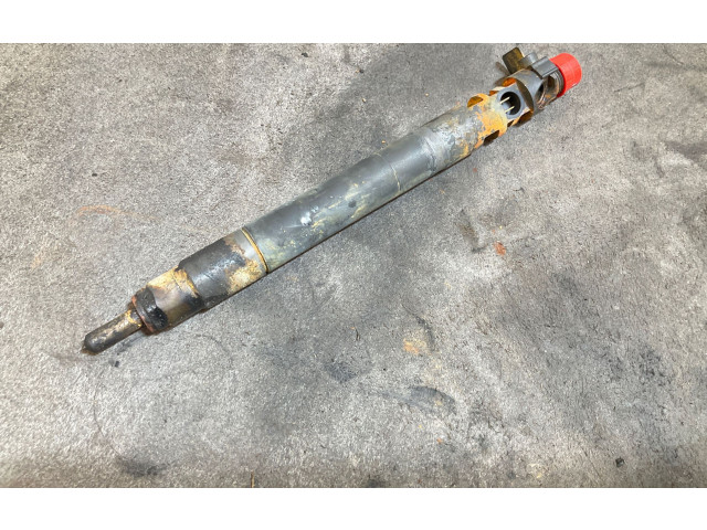 Форсунка 9686191080, 08006L9896    Peugeot Expert   