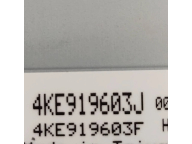 Дисплей 4KE919603F, 4KE919603J Audi e-tron