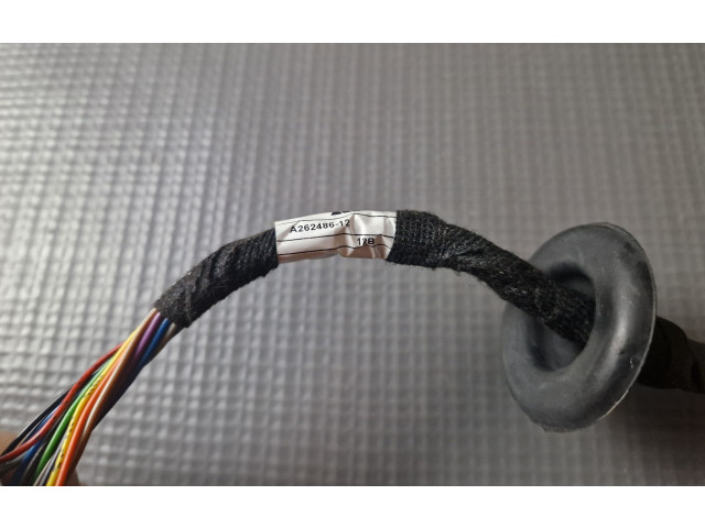 Zpětné zrcátko Volvo XC60 2023 A26248612, A262486