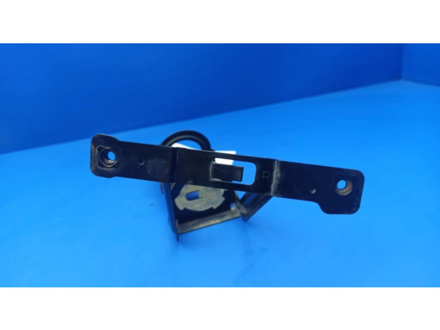 Распылитель (распылители)