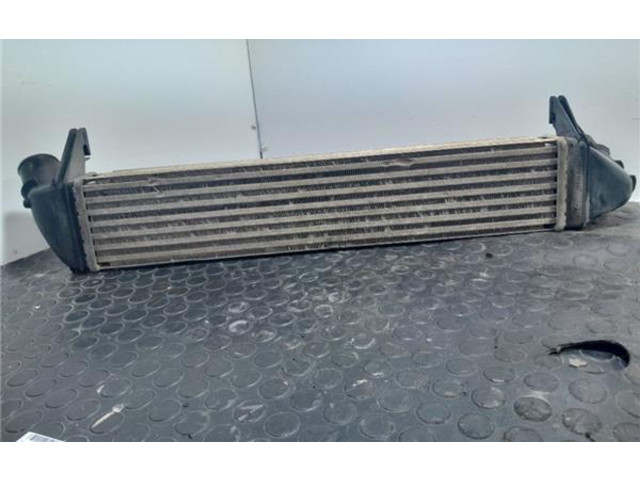 Интеркулер 8200409045 Dacia Logan I