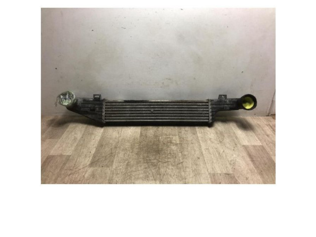 Интеркулер  2105002000, 2105002000   Mercedes-Benz E AMG W210 
