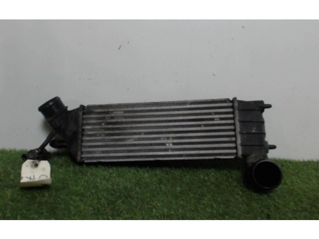 Интеркулер 00000384G0, 00000384G0 Citroen C8