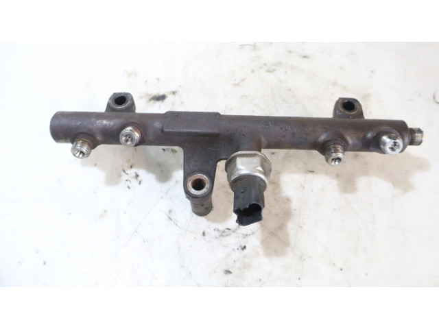 Vstřikovací lišta Peugeot 3008 I