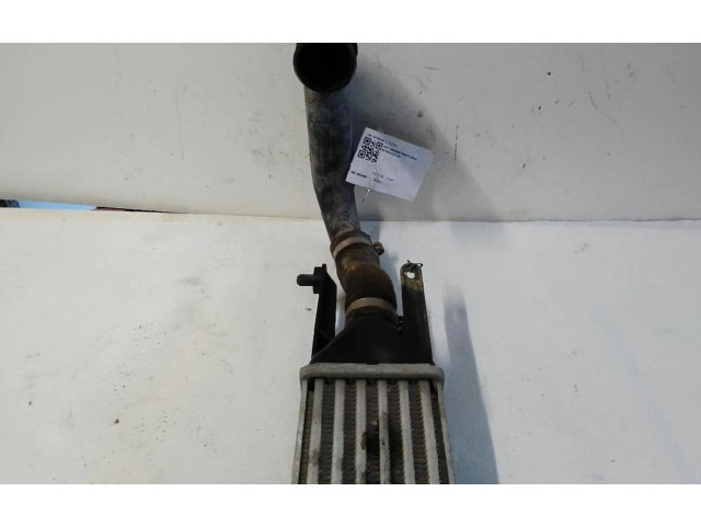 Интеркулер     Fiat Grande Punto 