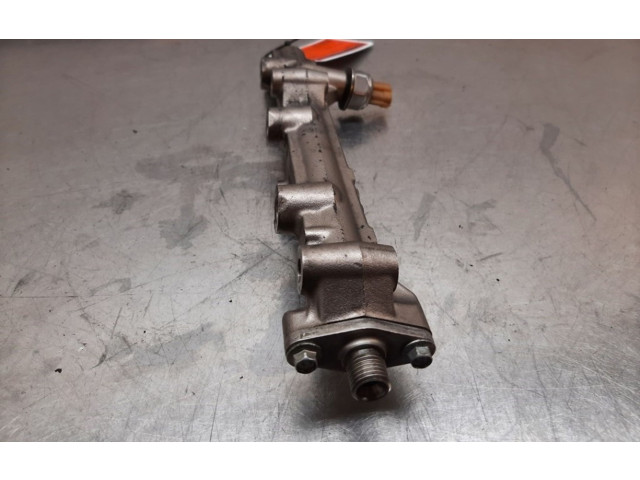 Vstřikovací lišta 14132962480, 14132962480 Nissan Micra C+C HR12DDR