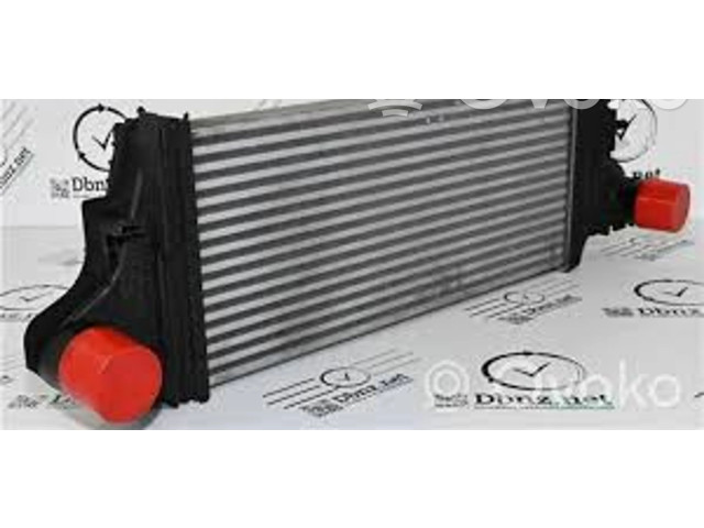 Интеркулер Mercedes-Benz R W251