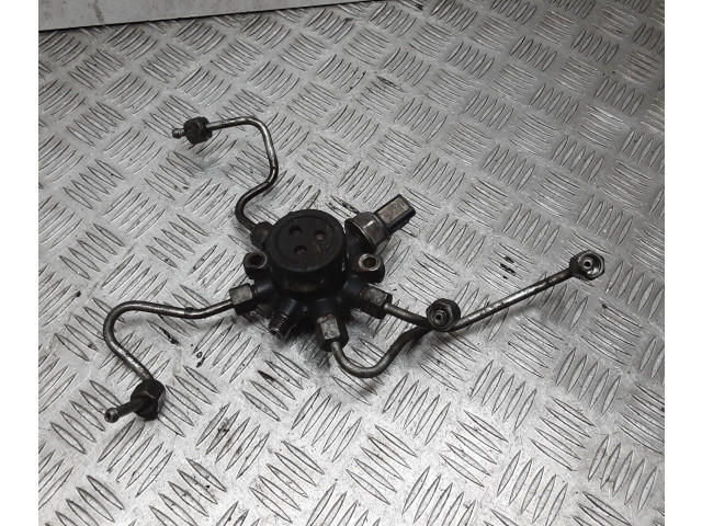 Топливная рампа Ford Transit - Tourneo Connect для двигателя R2PA