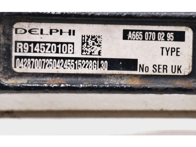 Топливная рампа A6650700295, R9145Z010B   SsangYong Rexton  