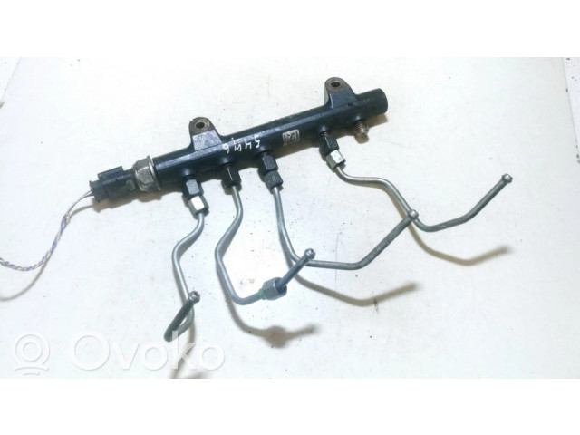 Vstřikovací lišta 968529758001, 94675g01  9144z290b  1312   Citroen C4 II  pro naftový motor 1.6  