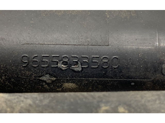 Топливная рампа 9655833580 Citroen C2
