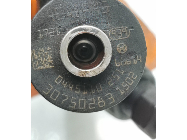 Форсунка 30750283, 0445110251    Volvo S80   