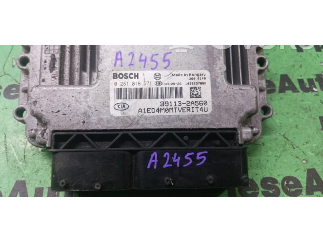Блок управления двигателем Блок управления 0281016571, 391132A560   KIA Ceed