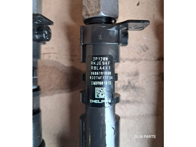 Комплект форсунок 9686191080 Citroen DS4