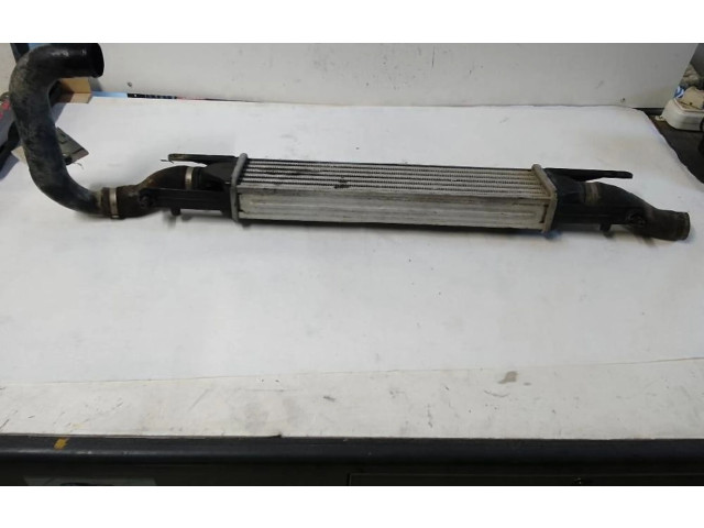 Интеркулер     Fiat Grande Punto 