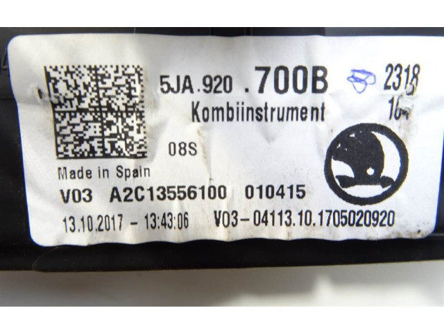 Панель приборов 5JA920700B Skoda Rapid (NH)
