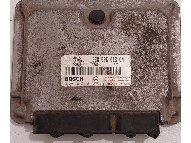 Блок управления двигателя 038906018GM, 0281010181 Skoda Octavia Mk1 (1U)