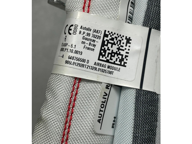 Боковая подушка безопасности Dacia Sandero