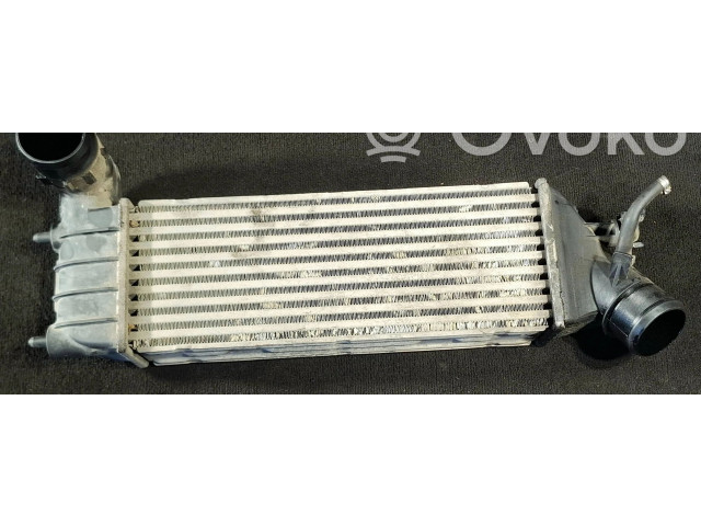 Интеркулер 1489396080, 870229HF Citroen C8