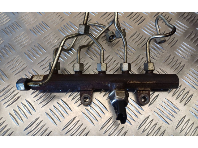 Топливная рампа 8200669695, R91442221 Renault Clio III