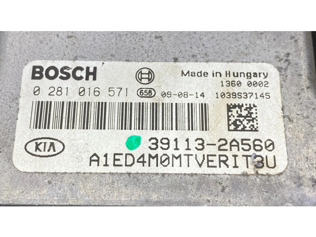 Комплект блоков управления 0281016571, K5659   KIA Ceed