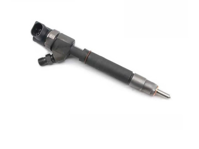 Vstřikovač 0445110189, 0445110107   Mercedes-Benz G W461 463     