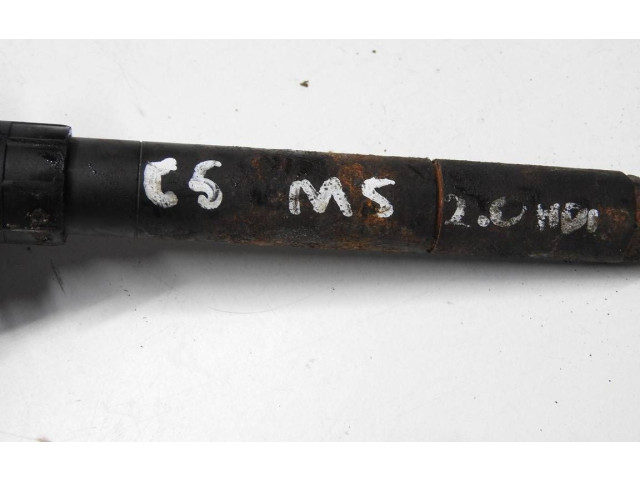 Форсунка 9688438580, 0059BC13F63 Citroen C5 PSA RHR, 10DYXG