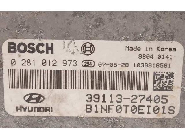 Блок управления двигателя 3911327405, 0281012973   Hyundai Sonata