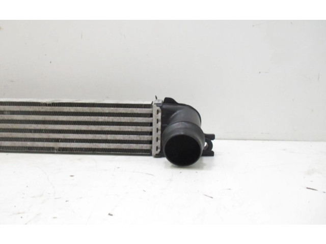 Интеркулер  1751850690402   Mini Cooper Countryman R60 