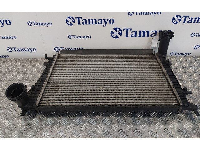 Интеркулер     Volkswagen Passat Alltrack 