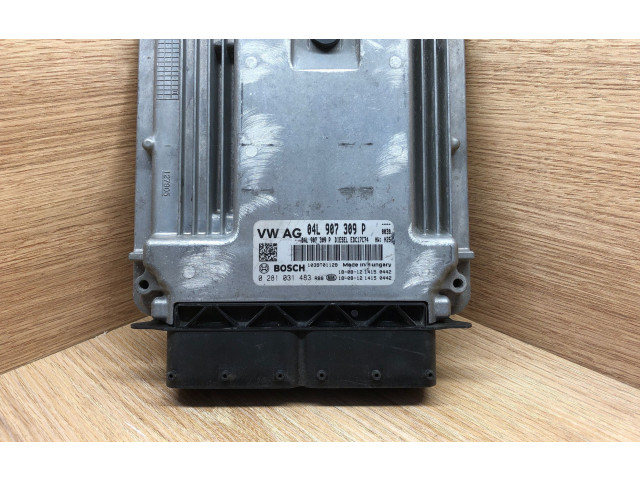 Řídící jednotka 04L907309P, 0281031483 Volkswagen Tiguan 2017