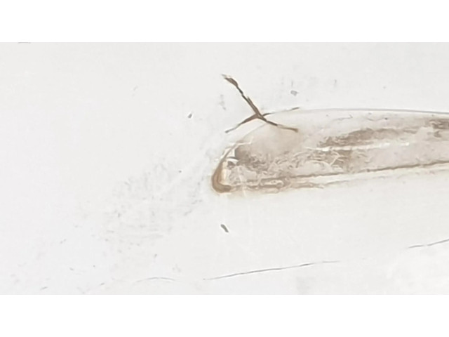 Задняя крышка (багажника)